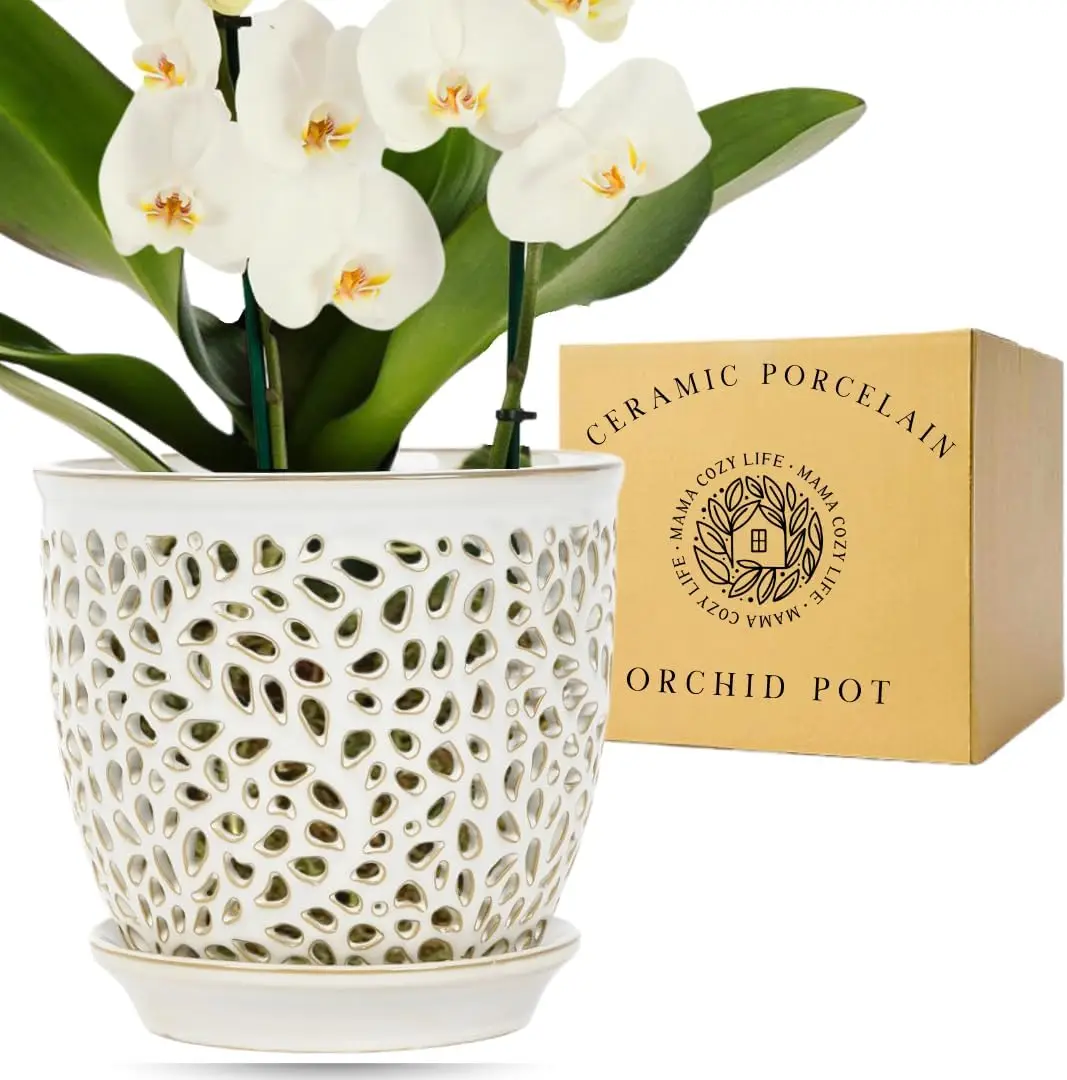 Elegant Orchid Pot with Holes, Large 6.5 inch Premium Porcelain Ceramic Planter for Repotting, Durable with Removable Saucer - Image 2