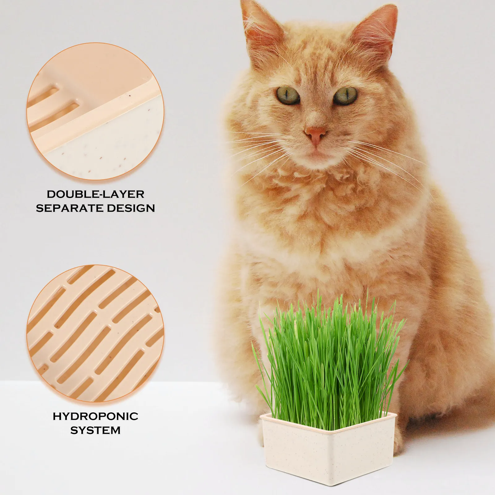Cat Grass Planting Box Hydroponic Soilless Plant Pot For Home Nursery Growing Kit Lightweight Plastic Pet Planter - Image 5