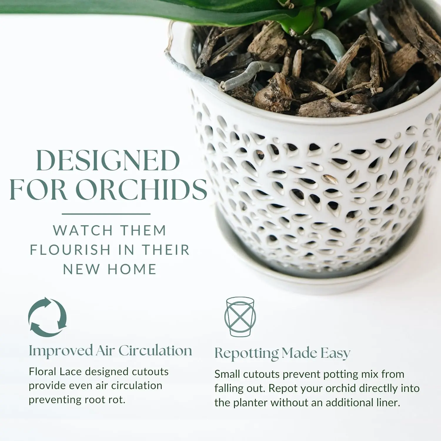 Elegant Orchid Pot with Holes, Large 6.5 inch Premium Porcelain Ceramic Planter for Repotting, Durable with Removable Saucer - Image 4