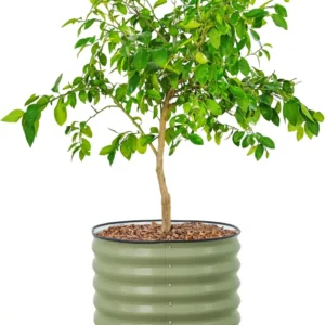 Rolling Metal Citrus Tree Planter Pot, 24″ Round Planter Box for Porch Patio & Backyard, 30 Gallon Large Planter Pot with Wh