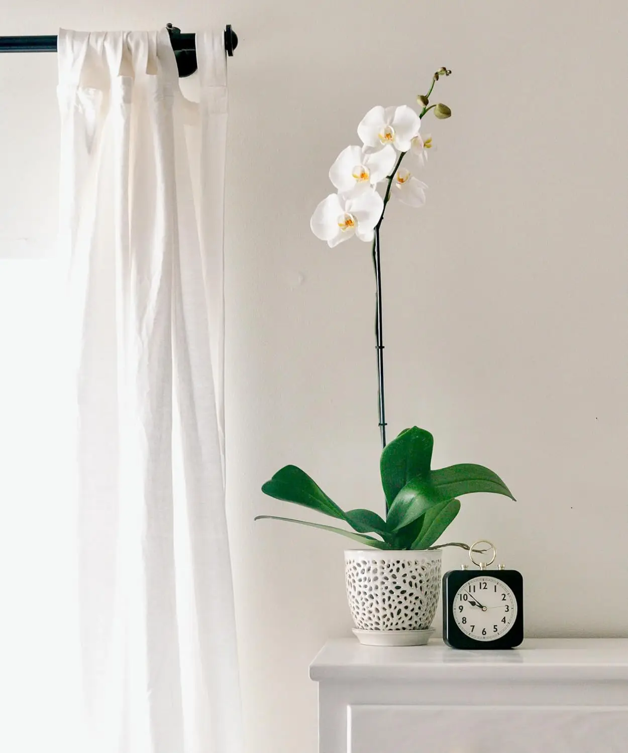 Elegant Orchid Pot with Holes, Large 6.5 inch Premium Porcelain Ceramic Planter for Repotting, Durable with Removable Saucer - Image 3